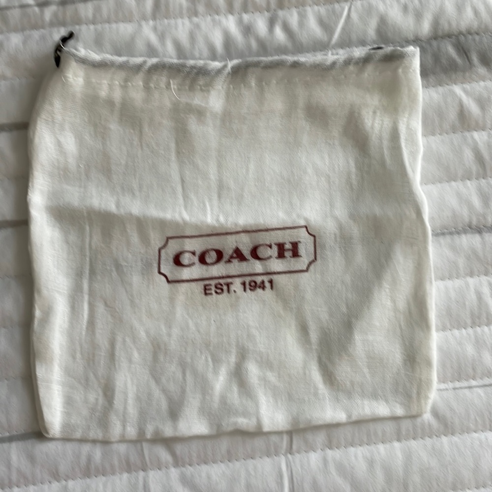 Small COACH Dust Bag